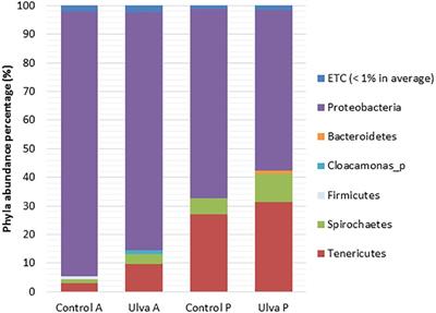 Modulation of Intestinal Microbiota in Solea senegalensis Fed Low Dietary Level of Ulva ohnoi